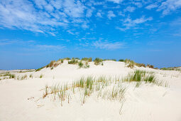 Dünen am Nordstrand, Insel Norderney, Ostfriesland, Niedersachsen, Deutschland