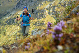 Woman hiking with flowers in foreground, Trans-Lagorai, Lagorai range, Dolomites, UNESCO World Heritage Site Dolomites, Trentino, Italy