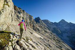 Woman hiking towards Rothorn and Mitterhorn, Nurracher Hoehenweg, Ulrichshorn, Loferer Steinberge range, Tyrol, Austria