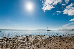 Wadden Sea at low tide, Wenningstedt-Braderup, Sylt, Schleswig-Holstein, Germany