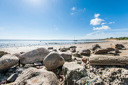 Wadden Sea at low tide, Wenningstedt-Braderup, Sylt, Schleswig-Holstein, Germany