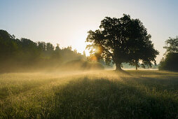 Sonnenaufgang und sogenannte Mozarteiche, Seeon-Seebruck, Chiemgau, Oberbayern, Bayern, Deutschland