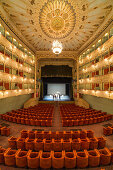 Bühne und leerer Theatersaal, Teatro Goldoni, Venedig, Italien