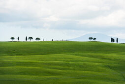 landscape near San Quirico d`Orcia, Val d`Orcia, province of Siena, Tuscany, Italy, UNESCO World Heritage