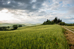 Landschaft bei San Quirico d'Orcia, Val d'Orcia, Provinz Siena, Toskana, Italien, UNESCO Welterbe