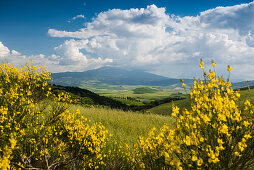 landscape near Pienza, Val d`Orcia, province of Siena, Tuscany, Italy, UNESCO World Heritage