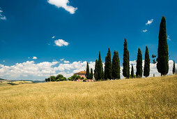 landscape near San Quirico d`Orcia, Val d`Orcia, province of Siena, Tuscany, Italy, UNESCO World Heritage