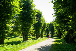 Couple strolling in a city park, Wallanlagen, Lubeck, Schleswig-Holstein, Germany