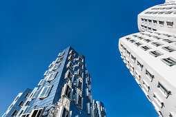 Frank Gehry Bauten, Medienhafen, Düsseldorf, Nordrhein Westfalen, Deutschland