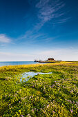 Dwelling mound, Hallig Langeness, North Frisian Islands, Schleswig-Holstein, Germany