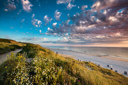 Dünen im Abendlicht, Wenningstedt, Sylt, Nordfriesland, Schleswig-Holstein, Deutschland