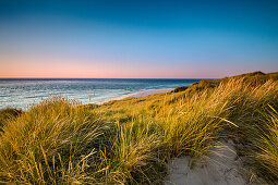 Dunes, Ellenbogen, Sylt Island, North Frisian Islands, Schleswig-Holstein, Germany