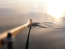 Wooden oar blade, lake Chiemsee, Bavaria, Germany