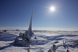 Whale bone along the coast of the Bering Sea in the Inuit settlement Uelkal, Chukotka Autonomous Okrug, Siberia, Russia