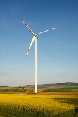 Wind park with wind turbines in a rapeseed field, bio-energy, renewable energy, near Gunzenhausen, Mittelfranken, Lower Franconia, Franconia, Bavaria, Germany, Europe
