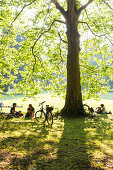 Cyclists resting in a shadow of a tree