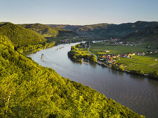 View from the Ferdinandswarte towards Oberloiben, Rossatz, Dürnstein, Danube, Wachau, Lower Austria, Austria