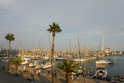 Port Olimpic, marina, Vila Olimpica, Barcelona, Catalunya, Catalonia, Spain