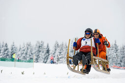 traditional sled race, Waldau, Titisee-Neustadt, Black Forest, Baden-Wuerttemberg, Germany