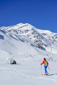 Frau auf Skitour steigt zum Monte Cevedale auf, Monte Cevedale, Martelltal, Ortlergruppe, Südtirol, Italien