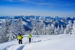 Zwei Personen auf Skitour steigen durch Winterwald zur Hochries auf, Mangfallgebirge im Hintergrund, Hochries, Samerberg, Chiemgauer Alpen, Chiemgau, Oberbayern, Bayern, Deutschland