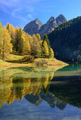 Goldene Lärchen am Palpuognasee (1918 m) mit Piz da la Blais (2930 m), Graubünden, Schweiz