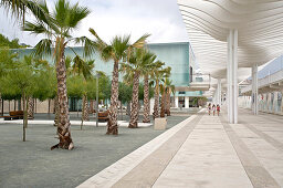 Palmen und moderne Architektur an der Uferpromenade im Hafen von Malaga in Malaga, Andalusien, Spanien
