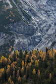 Stilfser Joch, Stilfs, Süd Tirol, Italien