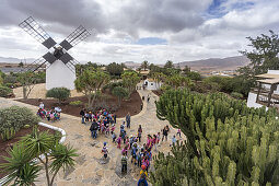 Molina de Antigua, Windmill, School Class, Fuerteventura, Canary Islands, Spain