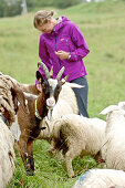 Woman standing between goats and sheep, Chiemgau, Bavaria, Germany