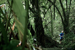 Young man running through a jungle, Dominica, Lesser Antilles, Caribbean