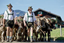 Männer in traditioneller Kleidung beim Viehscheid, Allgäu, Bayern, Deutschland