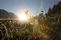 Spider's web on a meadow in front of an male hiker, Oberstdorf, Bavaria, Germany