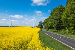 Rural road and wind turbines in blooming canola field, near Alsfeld, Vogelsberg, Hesse, Germany