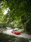 1972 Porsche 911, Forest Rally, Goodwood Festival of Speed 2014, Rennsport, Autorennen, Classic Car, Goodwood, Chichester, Sussex, England, Großbritannien