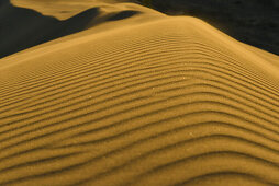 structure of a sand dune, desert at Altyn Emel National Park, Almaty Region, Kazakhstan, Central Asia, Asia