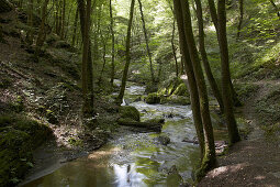 Ehrbachklamm, Administrative district of Rhein-Hunsrueck, Region of Hunsrueck, Rhineland-Palatinate, Germany, Europe