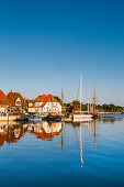 Marina with traditional sailing boats, Neustadt, Baltic Coast, Schleswig-Holstein, Germany