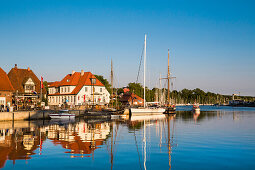 Marina with traditional sailing boats, Neustadt, Baltic Coast, Schleswig-Holstein, Germany