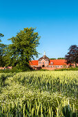 Manor house Hasselburg, Altenkrempe, Baltic Coast, Schleswig-Holstein, Germany