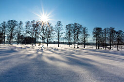 Winterscenery near Uffing at lake Staffelsee, Upper Bavaria, Alps, Germany