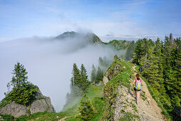 Frau beim Wandern geht über Grat aus Nagelfluh, Nagelfluhkette, Allgäuer Alpen, Allgäu, Schwaben, Bayern, Deutschland