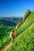 Woman hiking ascending towards Siplingerkopf, Gottesackerwaende and Hoher Ifen in background, Siplingerkopf, valley of Balderschwang, Allgaeu Alps, Allgaeu, Svabia, Bavaria, Germany