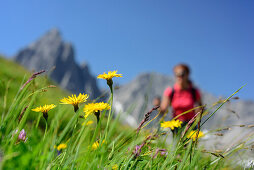 Blumenwiese mit Frau beim Wandern unscharf im Hintergrund, Lechtaler Alpen, Tirol, Österreich