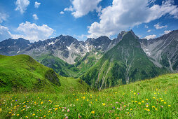 Meadow with flowers with Griesslspitze, Rotspitze and Freispitze in background, Lechtal Alps, Tyrol, Austria