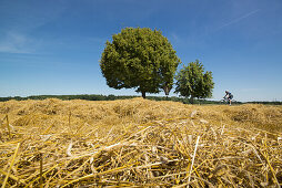 Radfahrer machen einen Ausflug über sommerliche Felder am Stadtrand von München. Aubing, München, Bayern, Deutschland