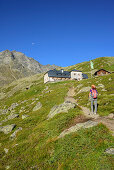 Woman hiking ascending towards hut Westfalenhaus, Hoher Seeblaskogel in background, hut Westfalenhaus, Sellrain, Stubai Alps, Tyrol, Austria