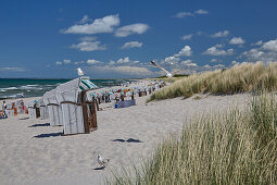 Seagulls on the Baltic Sea beach near Graal Mueritz, Mecklenburg Western Pomerania, Germany