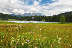 Meadow at Geroldsee, view to Karwendel, Werdenfels region, Bavaria, Germany