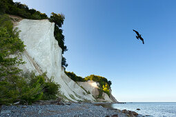 Chalk cliff, National Park Jasmund, Ruegen island, Baltic Sea, Mecklenburg-West Pomerania, Germany